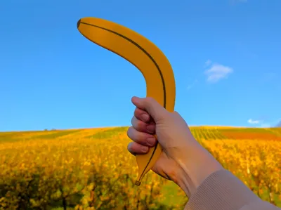 بومرنگ42
